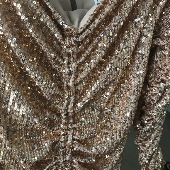 Zara Draped Sequin Dress (Salmon Color) - Picture 8 of 8